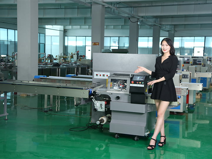 Reciprocating pillow packing machine factory