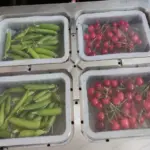 Modified Atmosphere Packaging Machine for Food