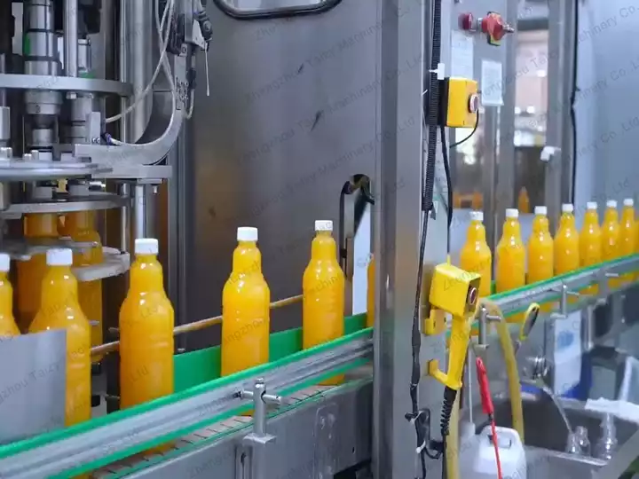 fruit juice packaging